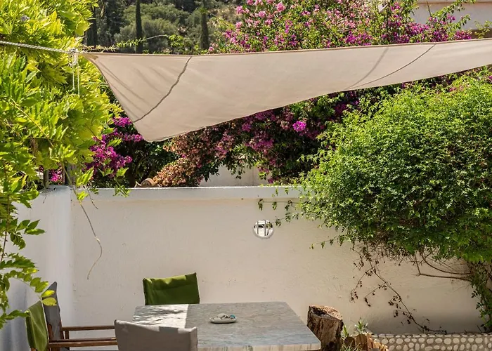 Lena's Traditional * Agia Efimia